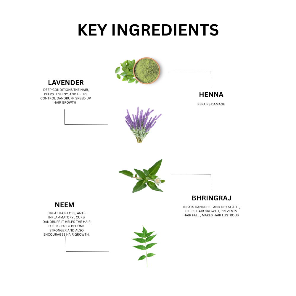 Anti Dandruff Shampoo