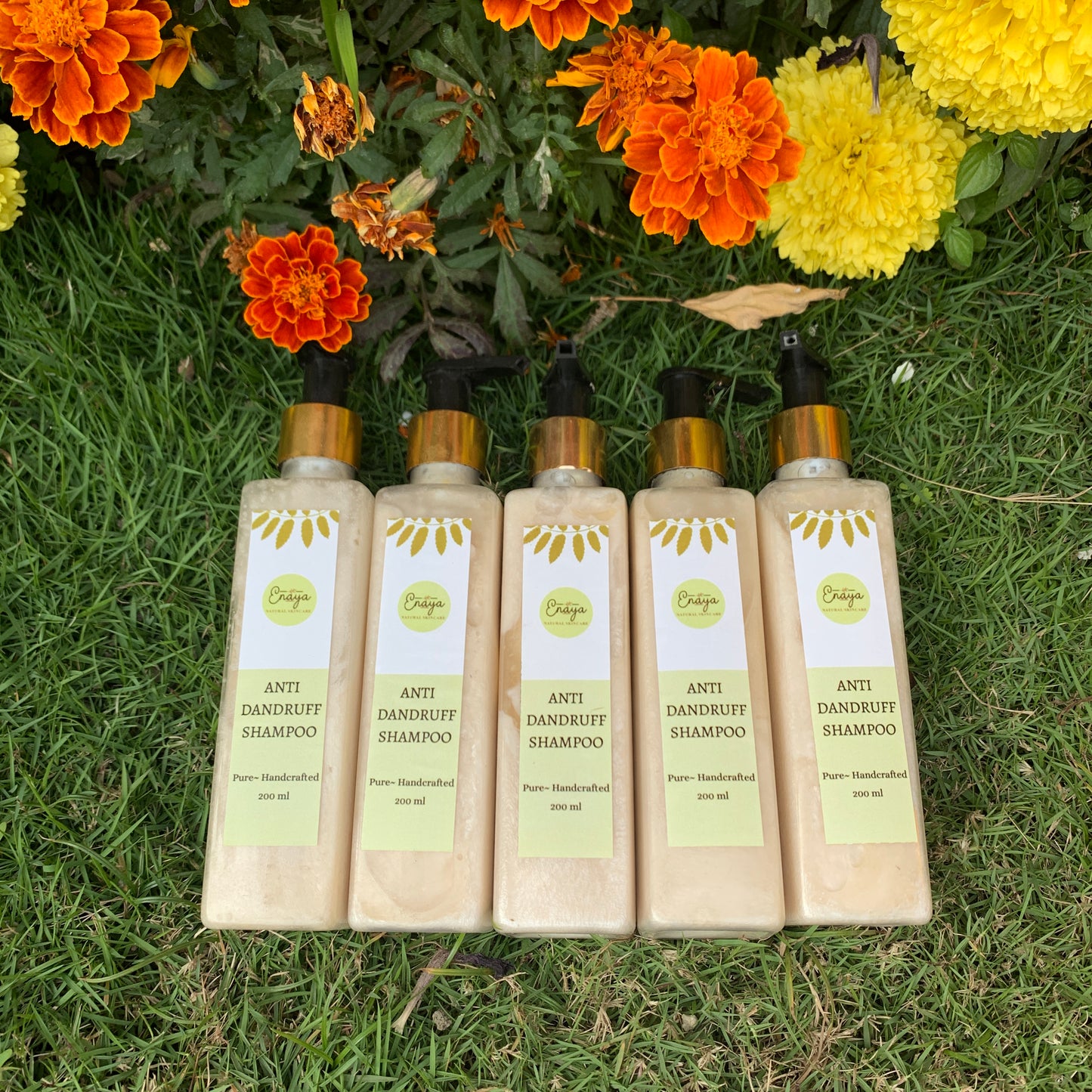 Anti Dandruff Shampoo